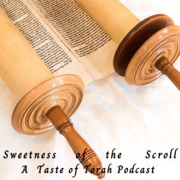 Podcast thumbnail for A Taste of Torah