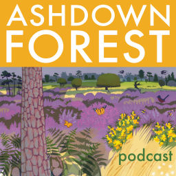 Podcast thumbnail for Ashdown Forest podcast