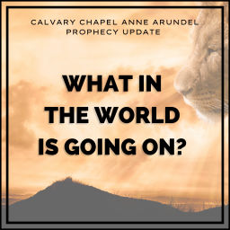 Podcast thumbnail for What in the World is Going on?