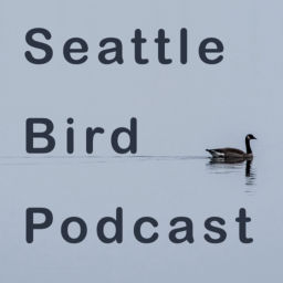 Podcast thumbnail for Seattle Bird Podcast