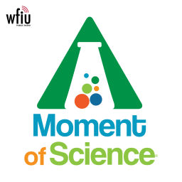 Podcast thumbnail for A Moment of Science