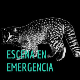 Podcast thumbnail for ESCENA EN EMERGENCIA