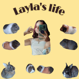 Podcast thumbnail for Layla's life
