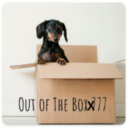 Podcast thumbnail for Out of The Boxx 777
