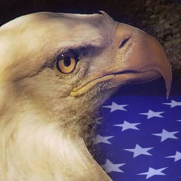Podcast thumbnail for Libertarian Counterpoint