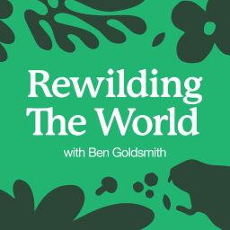 Podcast thumbnail for Rewilding the World with Ben Goldsmith