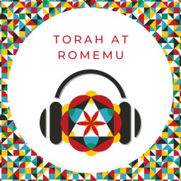 Podcast thumbnail for Romemu: Jewish Life, Elevated