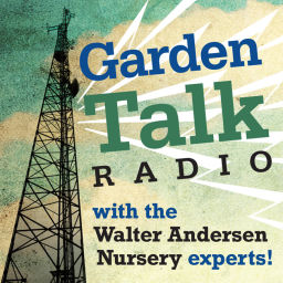 Podcast thumbnail for Garden Talk by Walter Andersen Nursery Podcast