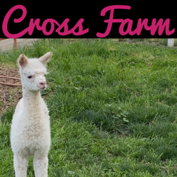 Podcast thumbnail for KB Cross Farm
