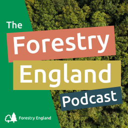 Podcast thumbnail for The Forestry England Podcast