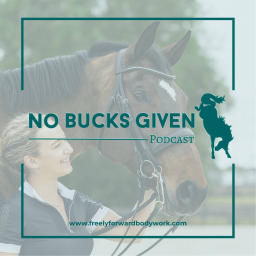 Podcast thumbnail for No Bucks Given