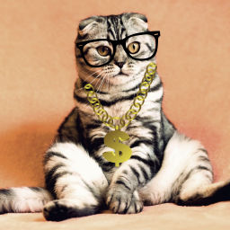 Podcast thumbnail for Personal Finance Cat
