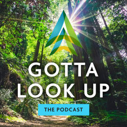 Podcast thumbnail for Gotta Look Up Podcast
