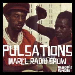 Podcast thumbnail for Pulsations - Marel