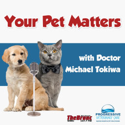 Podcast thumbnail for Your Pet Matters(Official 107.7 The Bronc Podcast)