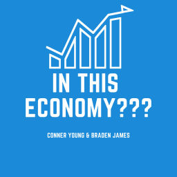 Podcast thumbnail for In This Economy???