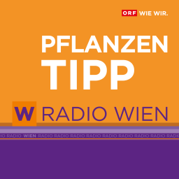 Podcast thumbnail for Radio Wien Pflanzentipp