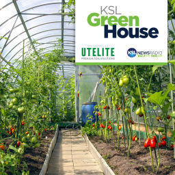 Podcast thumbnail for KSL Greenhouse