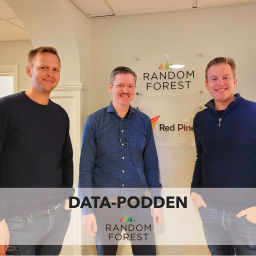 Podcast thumbnail for data-podden
