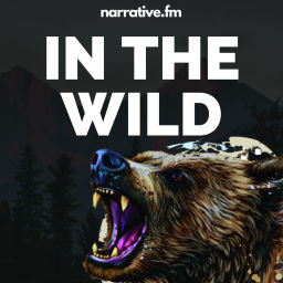 Podcast thumbnail for In The Wild