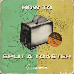 Podcast thumbnail for How to Split a Toaster: A Divorce Podcast About Saving Your Relationships