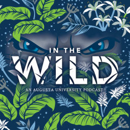 Podcast thumbnail for In The Wild