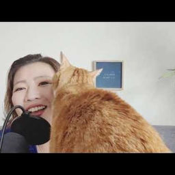 Podcast thumbnail for カリフォルニアのカウンセラー・ライフコーチ Yuko