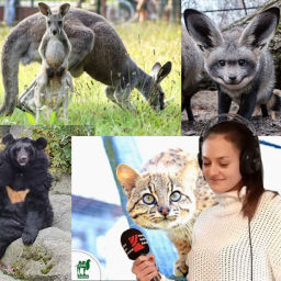 Podcast thumbnail for Z mikrofonem wśród zwierząt