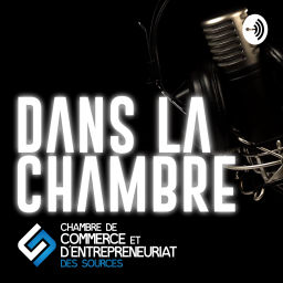 Podcast thumbnail for Dans la chambre