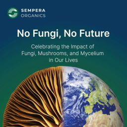 Podcast thumbnail for No Fungi, No Future: Celebrating the Impact of Fungi, Mushrooms, and Mycelium in our Lives