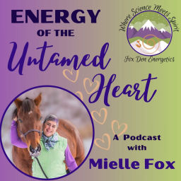 Podcast thumbnail for Energy of the Untamed Heart