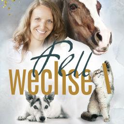 Podcast thumbnail for Fellwechsel