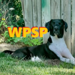 Podcast thumbnail for We Pick Sports Podcast