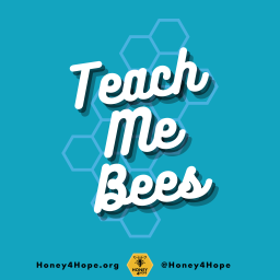 Podcast thumbnail for Teach Me Bees