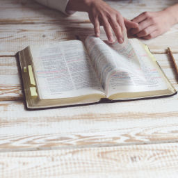Podcast thumbnail for Naples SDA Church Sermons