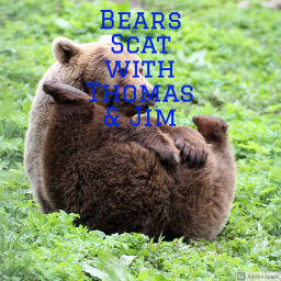 Podcast thumbnail for Bears Scat with Thomas & Jim