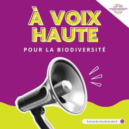 Podcast thumbnail for À voix haute pour la biodiversité
