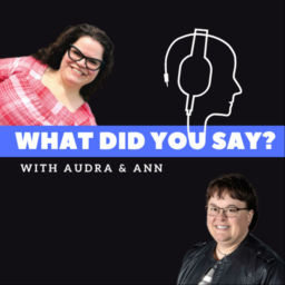 Podcast thumbnail for What Did You Say?
