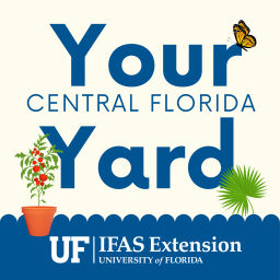 Podcast thumbnail for Your Central Florida Yard