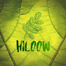 Podcast thumbnail for Hiloow