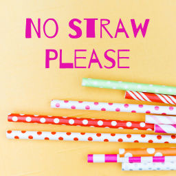 Podcast thumbnail for No Straw Please