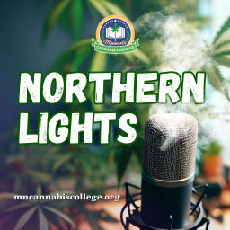 Podcast thumbnail for Northern Lights