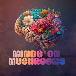 Podcast thumbnail for Minds on Mushrooms