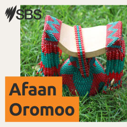 Podcast thumbnail for SBS Afaan Oromoo