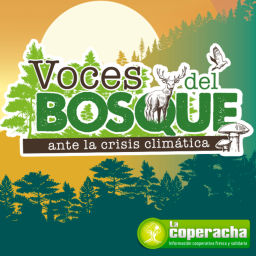 Podcast thumbnail for La Coperacha