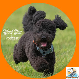 Podcast thumbnail for Woof You! Podcast