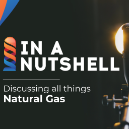 Podcast thumbnail for In a Nutshell by Natural Gas World
