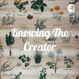 Podcast thumbnail for Knowing The Creator with Vashti G.