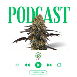 Podcast thumbnail for Home Grow TV Talk Show
