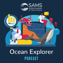 Podcast thumbnail for SAMS Ocean Explorer